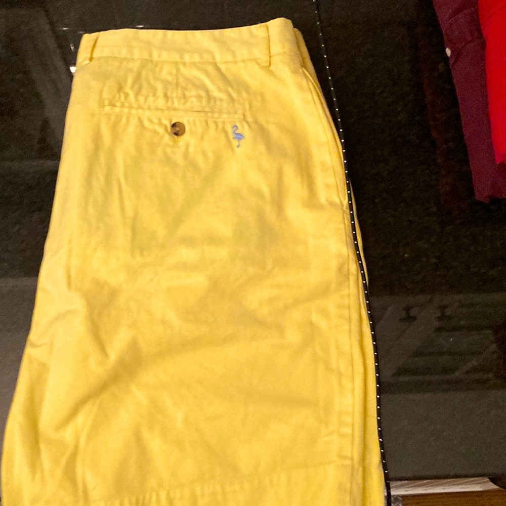 NWT Tailorbyrd Shorts-light yellow great detailing